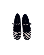 Balerinas zebra - Basement